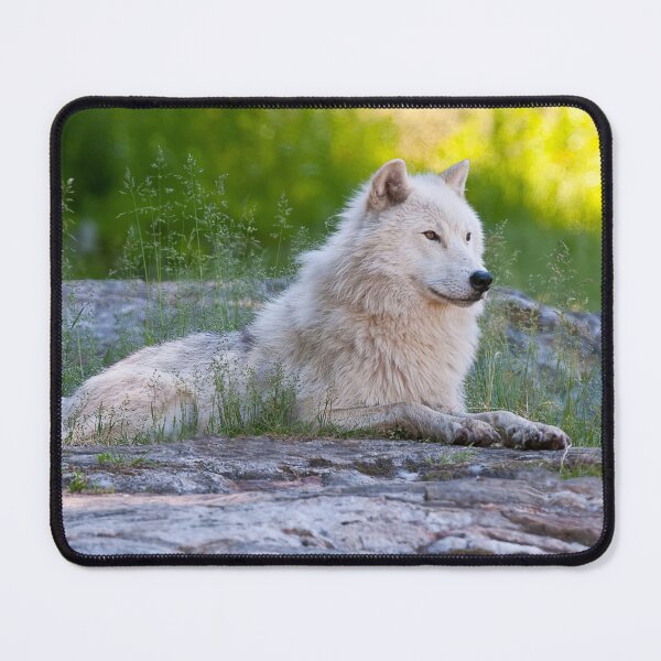 Item preview, Arctic Wolf designed and sold by Michael Cummings.