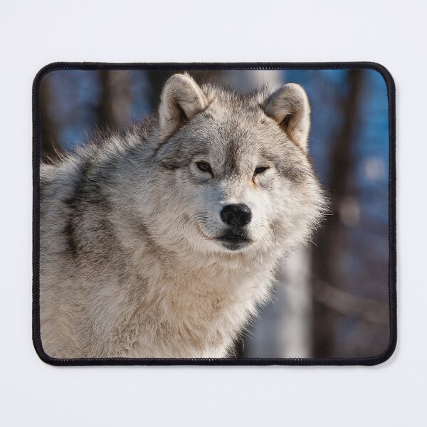 Item preview, Arctic Wolf designed and sold by Michael Cummings.