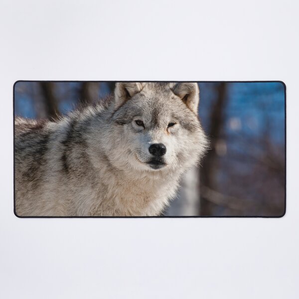 Item preview, Arctic Wolf designed and sold by Michael Cummings.