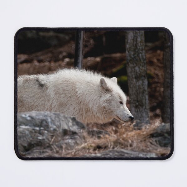 Item preview, Arctic Wolf designed and sold by Michael Cummings.