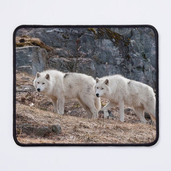 Item preview, Arctic Wolves designed and sold by Michael Cummings.