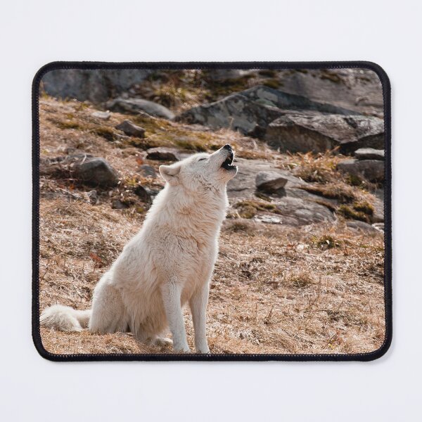 Item preview, Arctic Wolf Howling designed and sold by Michael Cummings.