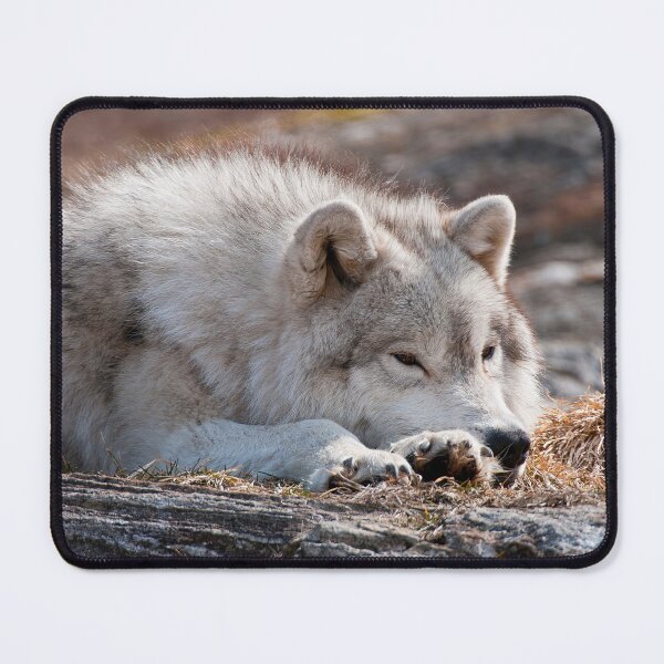Item preview, Arctic Wolf designed and sold by Michael Cummings.