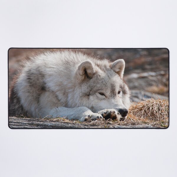 Item preview, Arctic Wolf designed and sold by Michael Cummings.