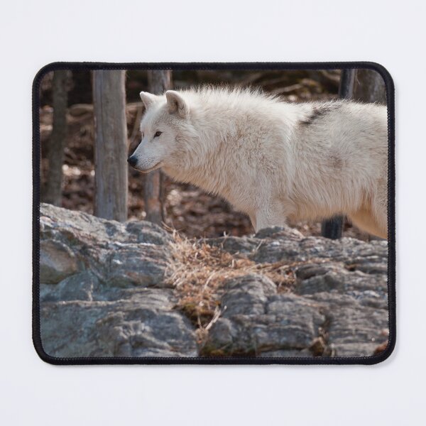 Item preview, Arctic Wolf designed and sold by Michael Cummings.