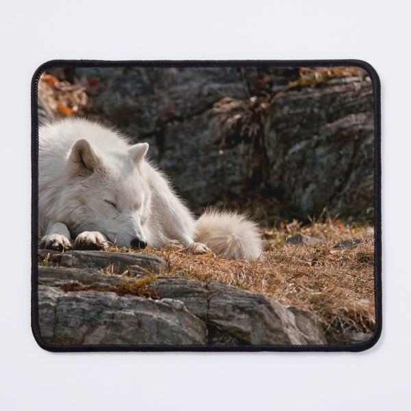 Item preview, Arctic Wolf designed and sold by Michael Cummings.