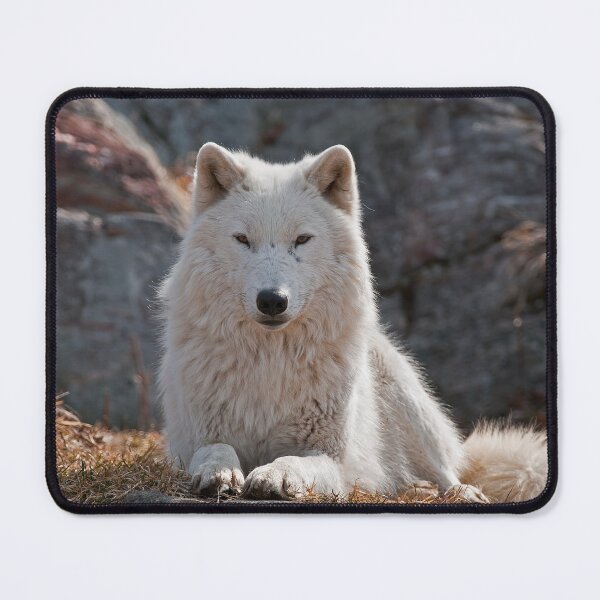 Item preview, Arctic Wolf designed and sold by Michael Cummings.