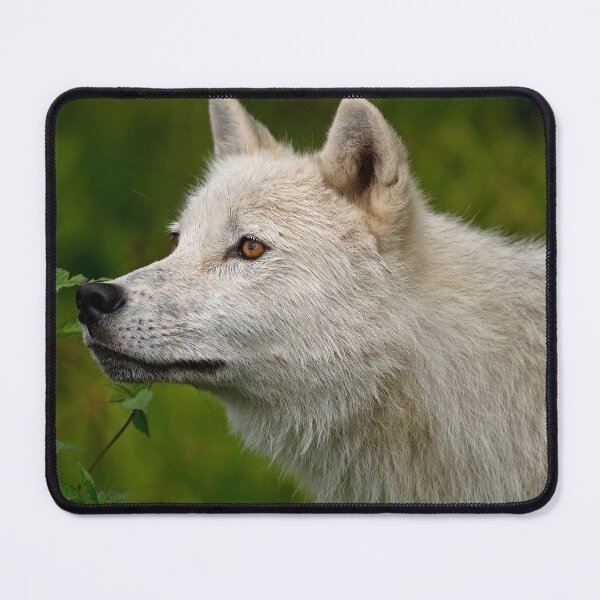 Item preview, Arctic Wolf designed and sold by Michael Cummings.
