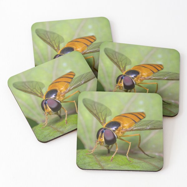 Item preview, Unique and organic photo of a beautiful hoverfly designed and sold by AvonPerception.