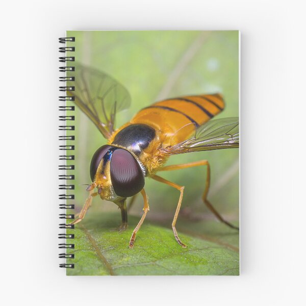 Item preview, Unique and organic photo of a beautiful hoverfly designed and sold by AvonPerception.