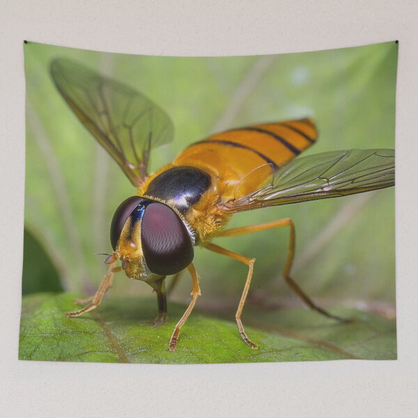 Item preview, Unique and organic photo of a beautiful hoverfly designed and sold by AvonPerception.