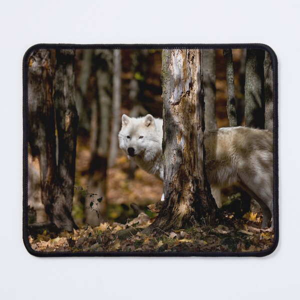 Item preview, Arctic Wolf designed and sold by Michael Cummings.