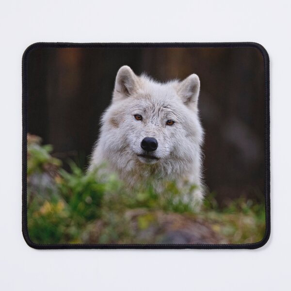 Item preview, Arctic Wolf designed and sold by Michael Cummings.