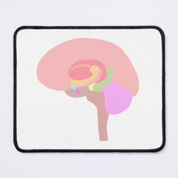 Item preview, Brain designed and sold by princesssomo21.