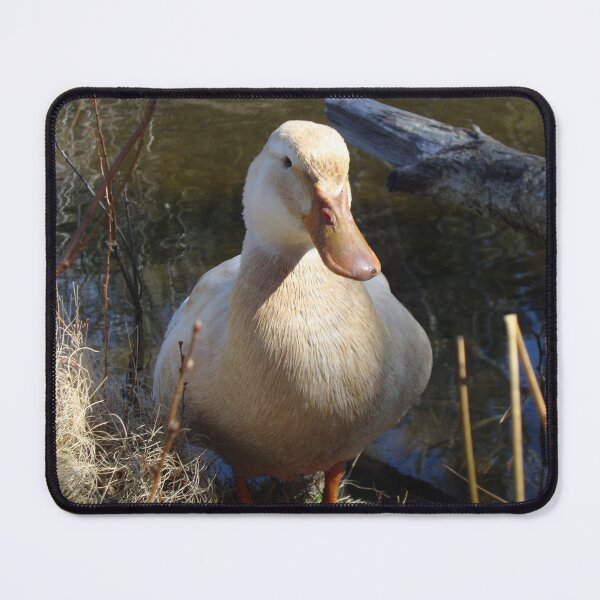 Item preview, Saxony Duck designed and sold by imphavok.