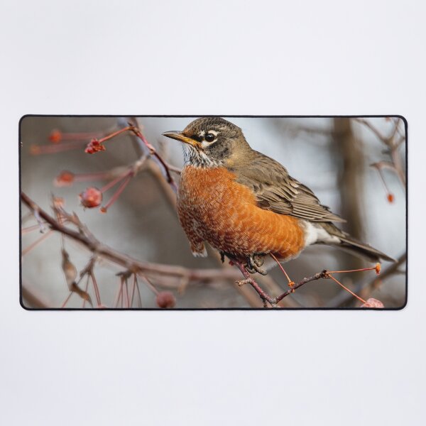 Item preview, American Robin designed and sold by Michael Cummings.