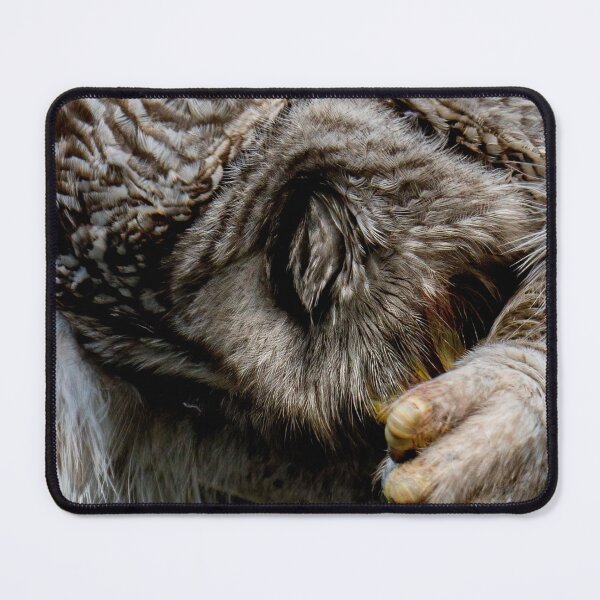 Item preview, Barred Owl - Up Close and Personal designed and sold by Michael Cummings.