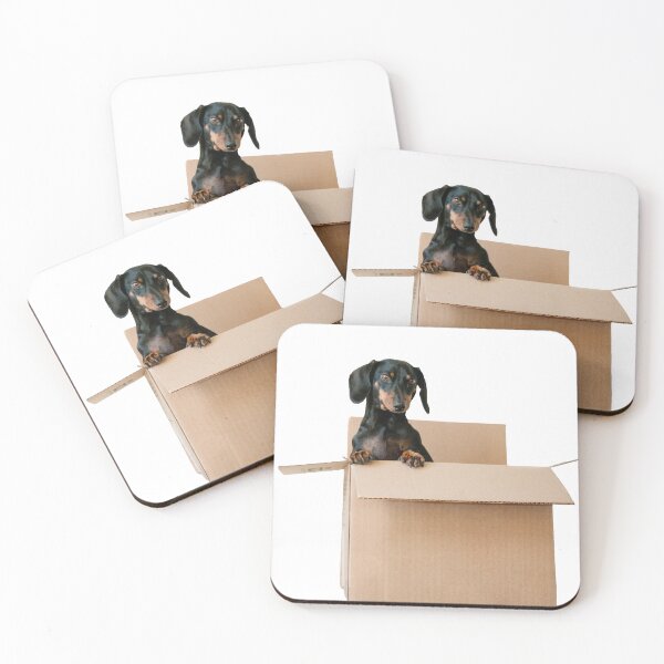 Item preview, Perro salchicha Pegatina designed and sold by PlanetDachshund.