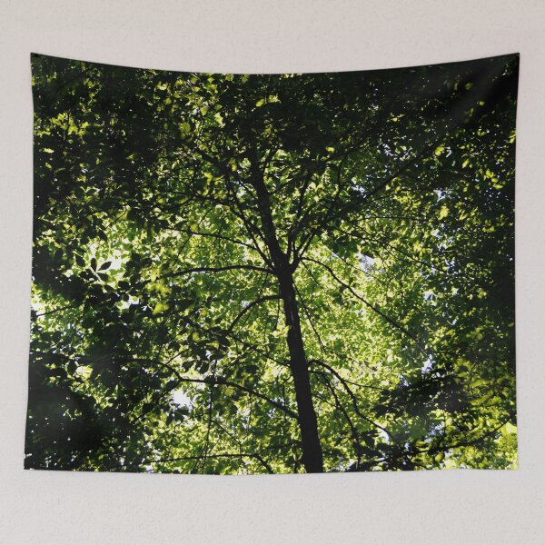 Item preview, in the shade, looking up designed and sold by dnparker.