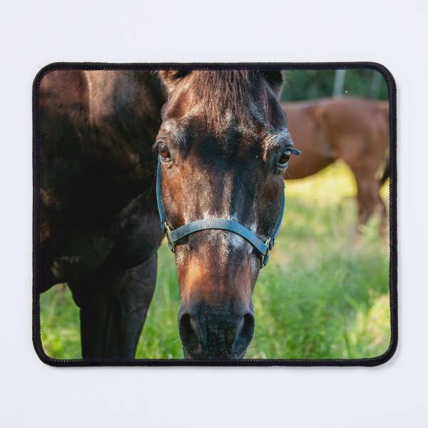 Item preview, Horse Portrait designed and sold by Michael Cummings.