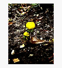 small world Photographic Print