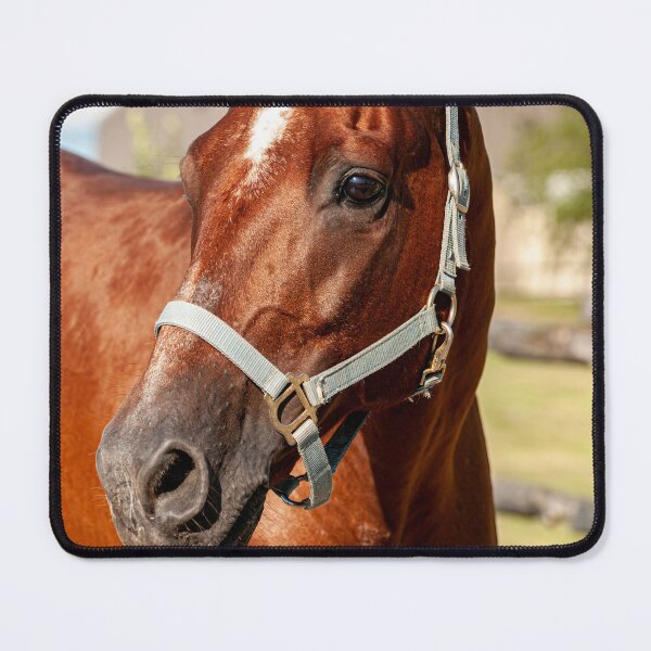 Item preview, Horse Portrait designed and sold by Michael Cummings.