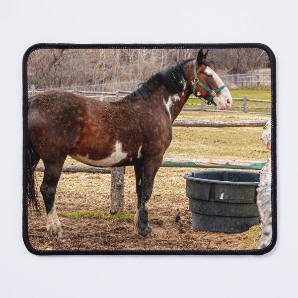 Item preview, Horse In Paddock designed and sold by Michael Cummings.