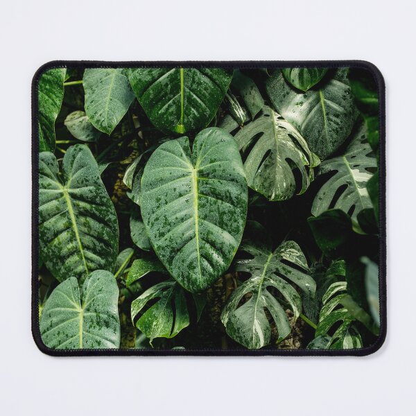 Item preview, Green Wall designed and sold by Michael Cummings.