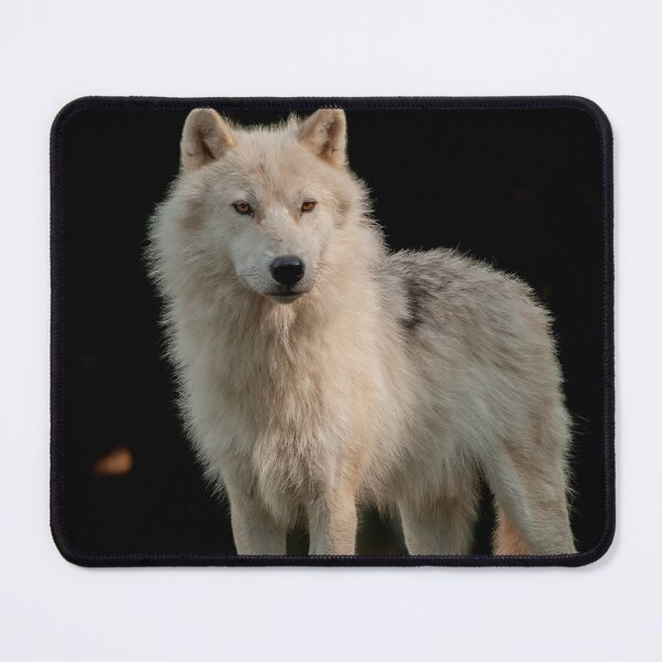 Item preview, Arctic Wolf designed and sold by Michael Cummings.