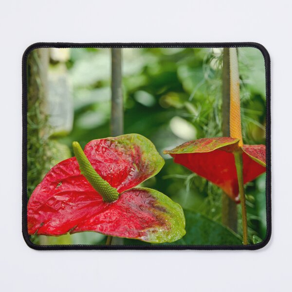 Item preview, Exotic Flower designed and sold by Michael Cummings.