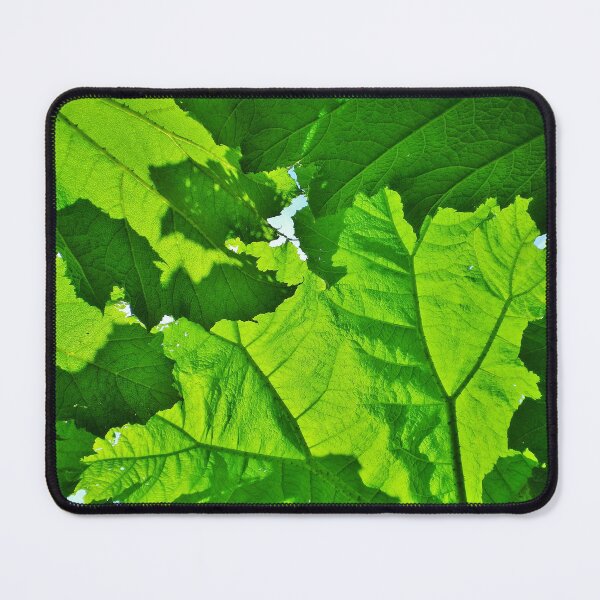 Item preview, GREEN LEAF CANOPY OF GIANT RHUBARB  designed and sold by Richard Brookes Photography.