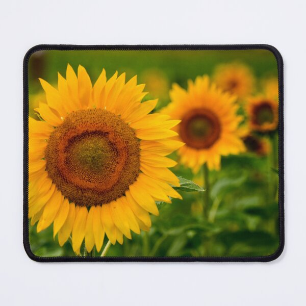 Item preview, Sunny Days designed and sold by Michael Cummings.