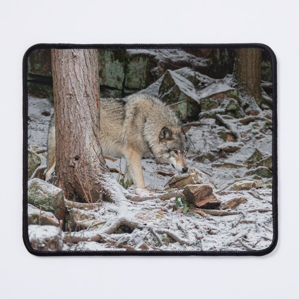 Item preview, Eastern Gray Wolf designed and sold by Michael Cummings.