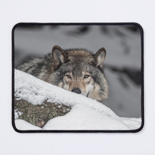 Item preview, Eastern Gray Wolf  designed and sold by Michael Cummings.