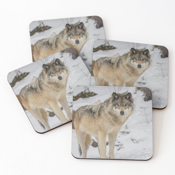 Item preview, Eastern Gray Wolf  designed and sold by Michael Cummings.