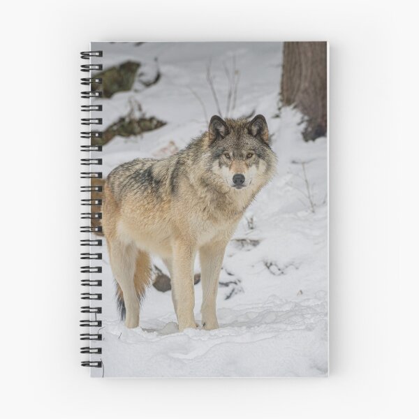 Item preview, Eastern Gray Wolf  designed and sold by Michael Cummings.