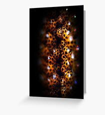 Ladybird Cavern Greeting Card