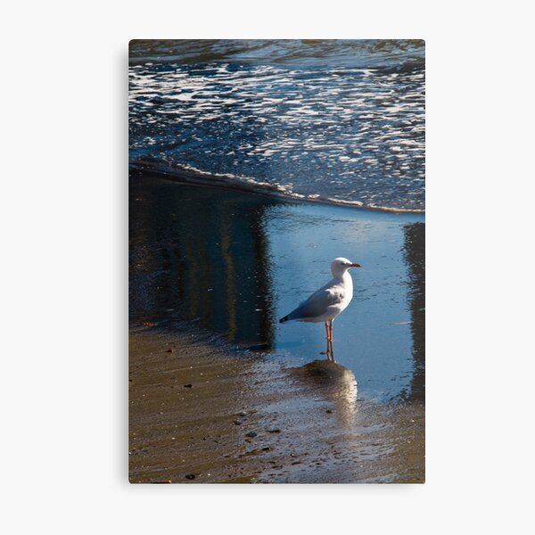 Item preview, The Bird designed and sold by Matthew Stewart.