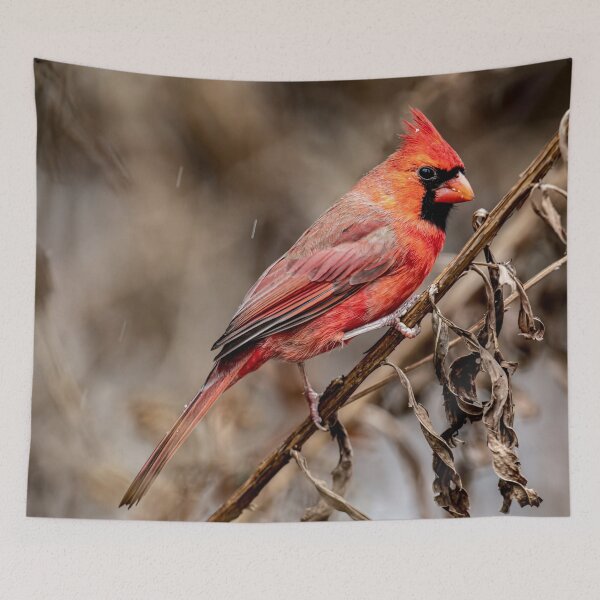 Item preview, Northern Cardinal designed and sold by Michael Cummings.