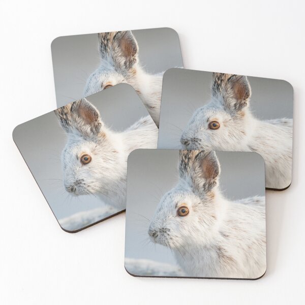 Item preview, Snowshoe Hare designed and sold by Michael Cummings.