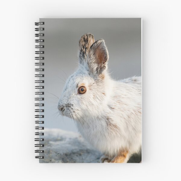 Item preview, Snowshoe Hare designed and sold by Michael Cummings.