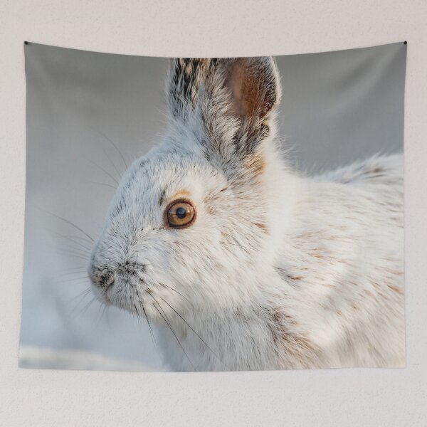 Item preview, Snowshoe Hare designed and sold by Michael Cummings.