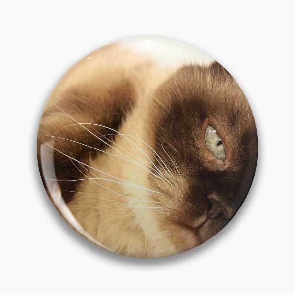 Item preview, cute sleepy cat  designed and sold by itisShop.