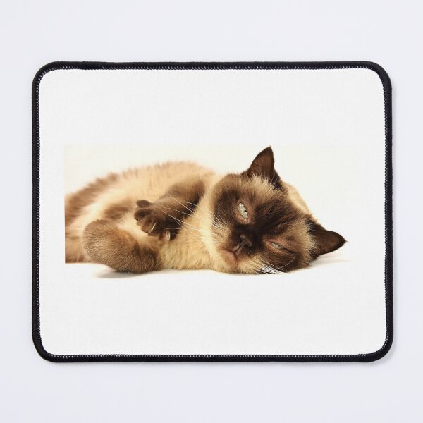Item preview, cute sleepy cat designed and sold by itisShop.