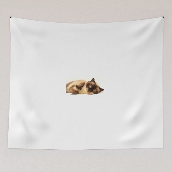 Item preview, cute sleepy cat  designed and sold by itisShop.