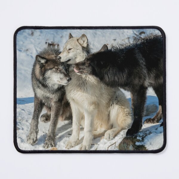Item preview, Black Wolves designed and sold by Michael Cummings.