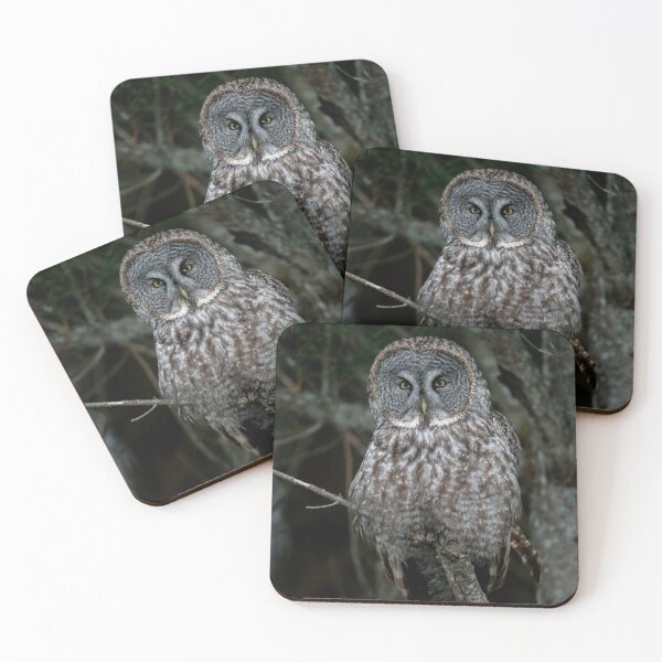 Item preview, Great Gray Owl designed and sold by Michael Cummings.