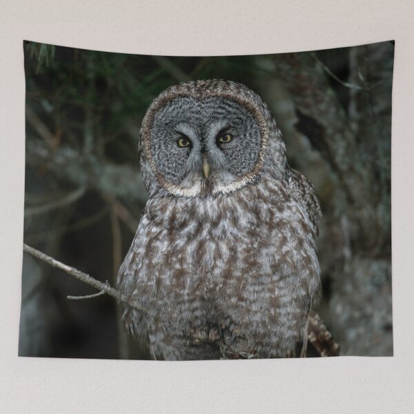 Item preview, Great Gray Owl designed and sold by Michael Cummings.