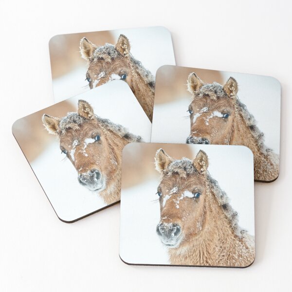 Item preview, Colt In Snow designed and sold by Michael Cummings.