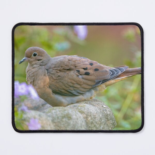 Item preview, Mourning Dove On Bird Bath designed and sold by Michael Cummings.